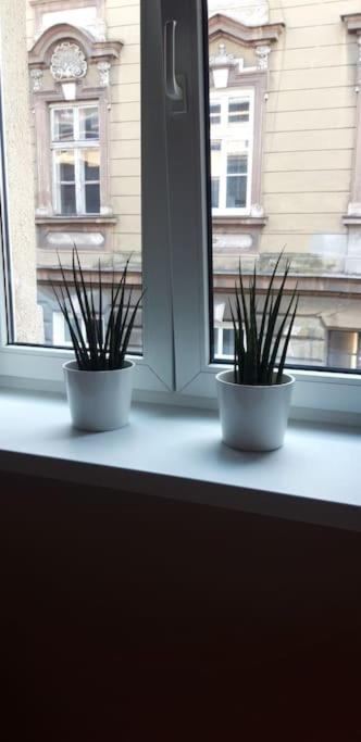 Zachod Slonca Nad Wisla Appartement Krakau Buitenkant foto